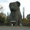 Giant Koala