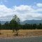 The Grampians, Victoria.