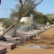 Corrigin - Dog Cemetery
