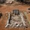 Grave from Spike on Corrigin Dog Cemetery, WA  (OZ)
