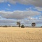 Farmland western australia
