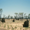 ant mound on side of Great Northern Hwy, Western Australia 1988