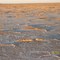 Lake Eyre South @ Sunset