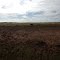 Massive Flood Plan with an Abundance of Wildlife