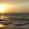DSCF0736