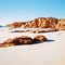 CAPE LEVEQUE SANDSTONES