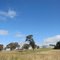 Lerida NSW