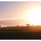 Breadalbane Sunrise