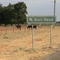 Bull Road Sign