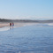 Life's a Beach