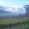 Early Morning Wayside