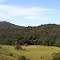 Near Upsalls Creek, Kendall area