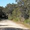 Road to Gogley's Lagoon
