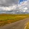 Road to Nowhere