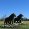 Hunter valley gardens