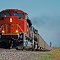 Cargo Train in Lorenzo NE, United States