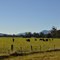 Peaceful Pastures