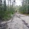 Walk to Cann River [2012]