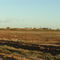Cordillo Downs