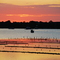 Oyster farm at Coffin Bay