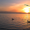 Coffin Bay sunset