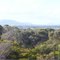 View near Coffin Bay