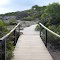 Bridge and clifftop walk through native scrub