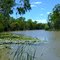 ''Mighty Murray River'' Wee Wee Rup.