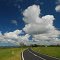 auf dem Weg nach Tenterfield NSW