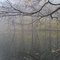 Black River fishin' spot