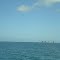 Birds Island
