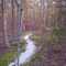 Batona Trail (north)