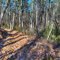 Batona Trail