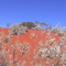 Australien Outback