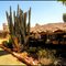 Curtin Springs desert station..© by leo1383