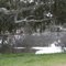 Ess Lagoon Casterton Victoria