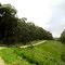 Great Otway NP