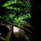 Maits Rest Bridge