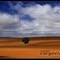 NEW SOUTH WALES - AUSTRALIA