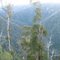 Deep gully near Cabramurra, NSW