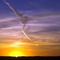 Adelaide Sunrise