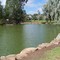 Duck Pond, nr Yorktown Road 2