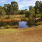 Wildlife Reserve - 1