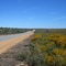 Way to Cervantes, WA