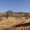 Mount Robinson
