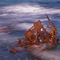 S.S. Speke