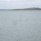 View of Tortoise Head, French Island