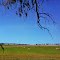 Canowindra , local landscape ...