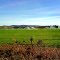 Canowindra , irrigation  on Fish Fossil Drive  ...
