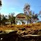 Canowindra , Age of Fishes , original Fossil Site  ...